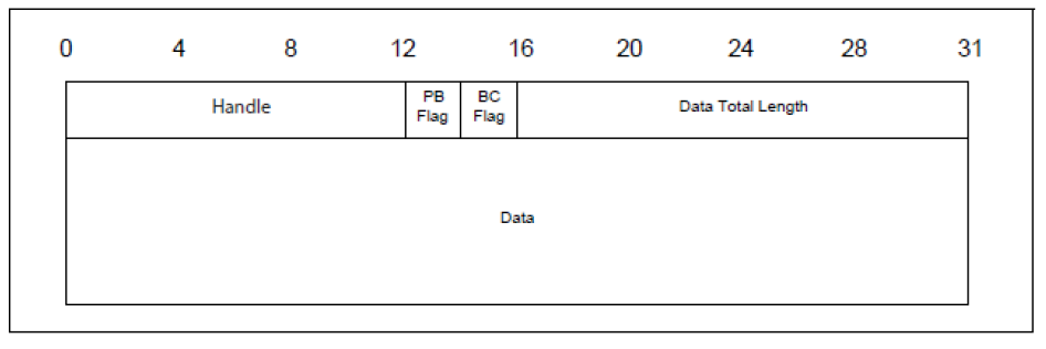 Async Data Packet Format